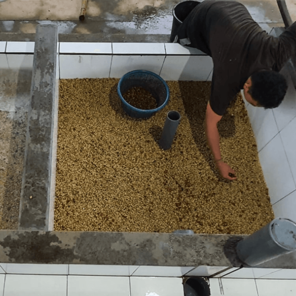 Image FERMENT FO BETTER FLOATERS