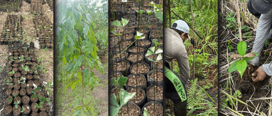 Coffee Processing Facility