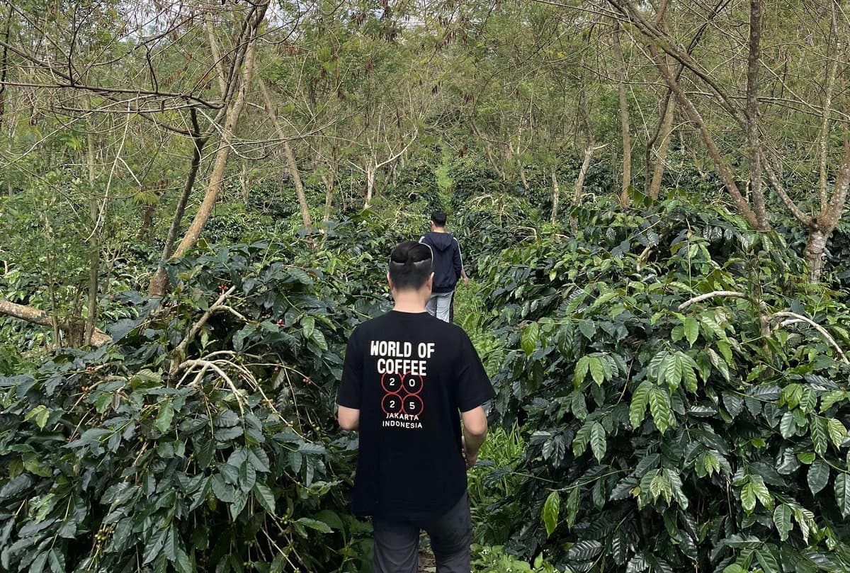 Coffee Processing Facility