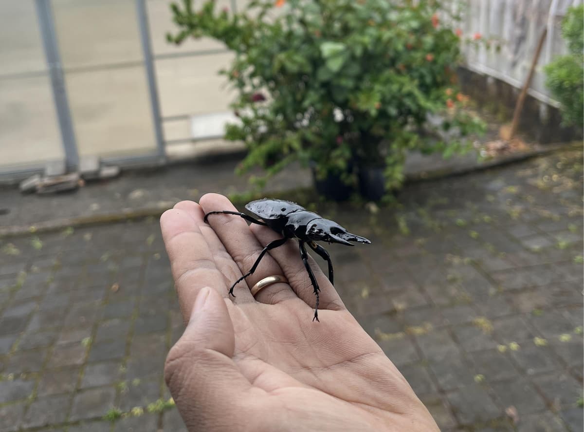 Coffee Processing Facility